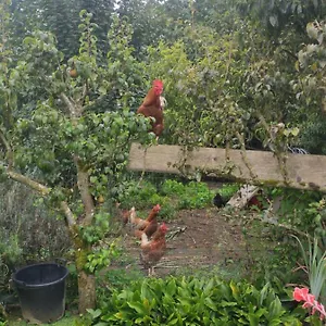 Bienvenue Chez Joelle Et Andre Au 207 Frühstückspension